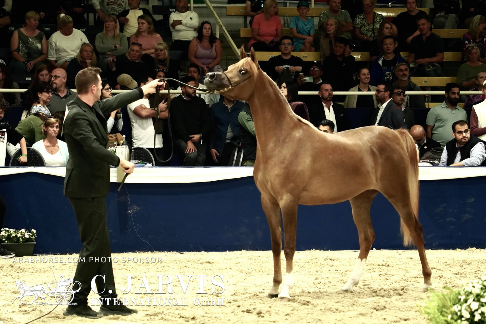 2023 All Nations Cup and Farm Visits