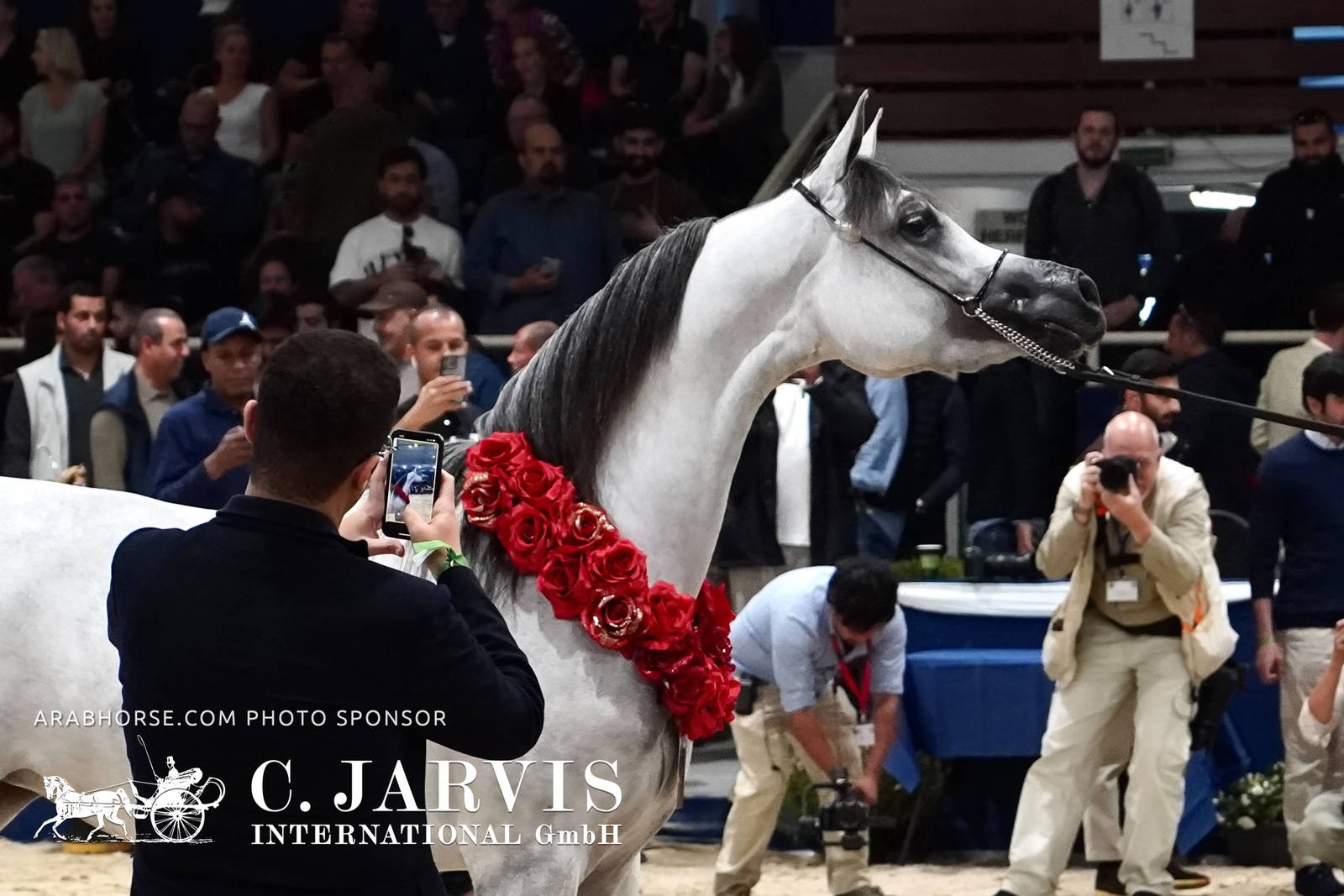 2023 All Nations Cup and Farm Visits