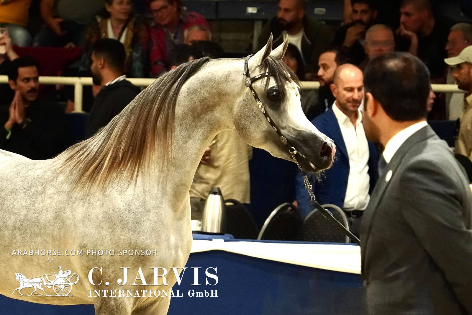 2023 All Nations Cup and Farm Visits