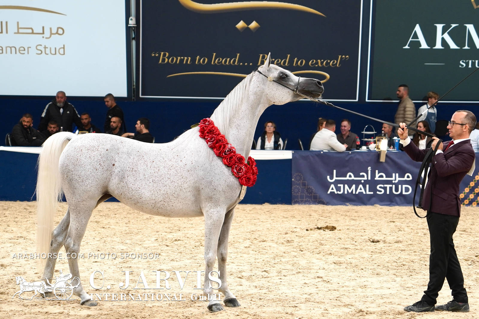 2023 All Nations Cup and Farm Visits