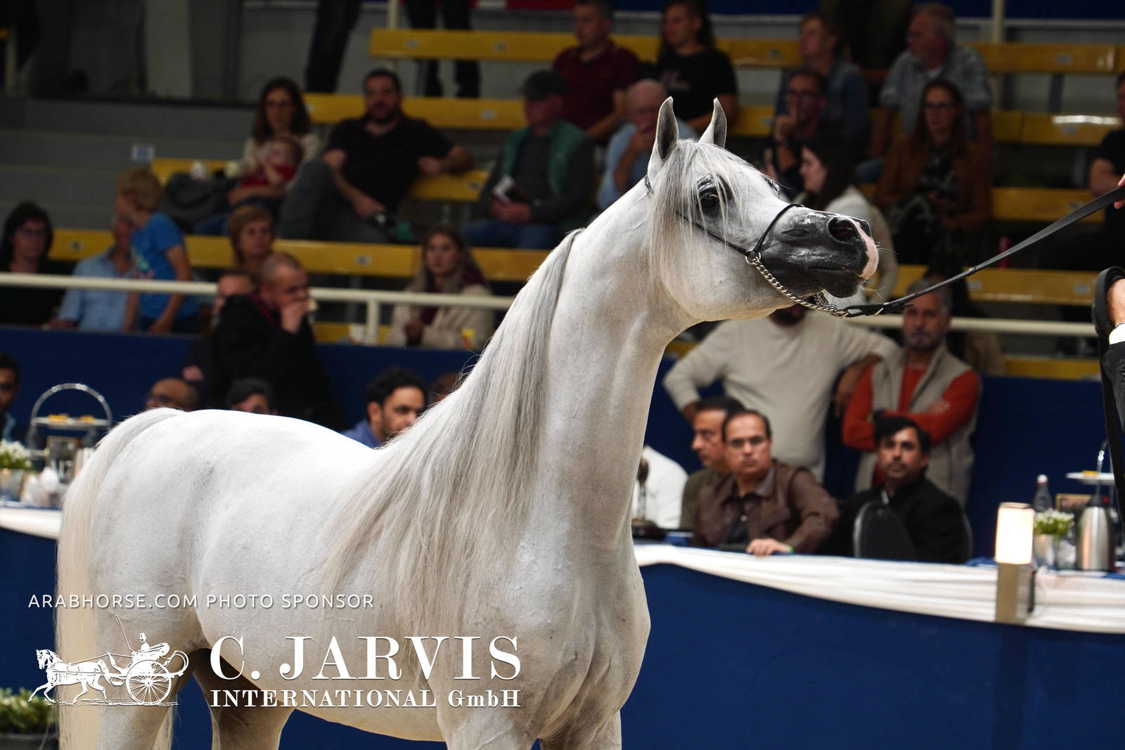 2023 All Nations Cup and Farm Visits