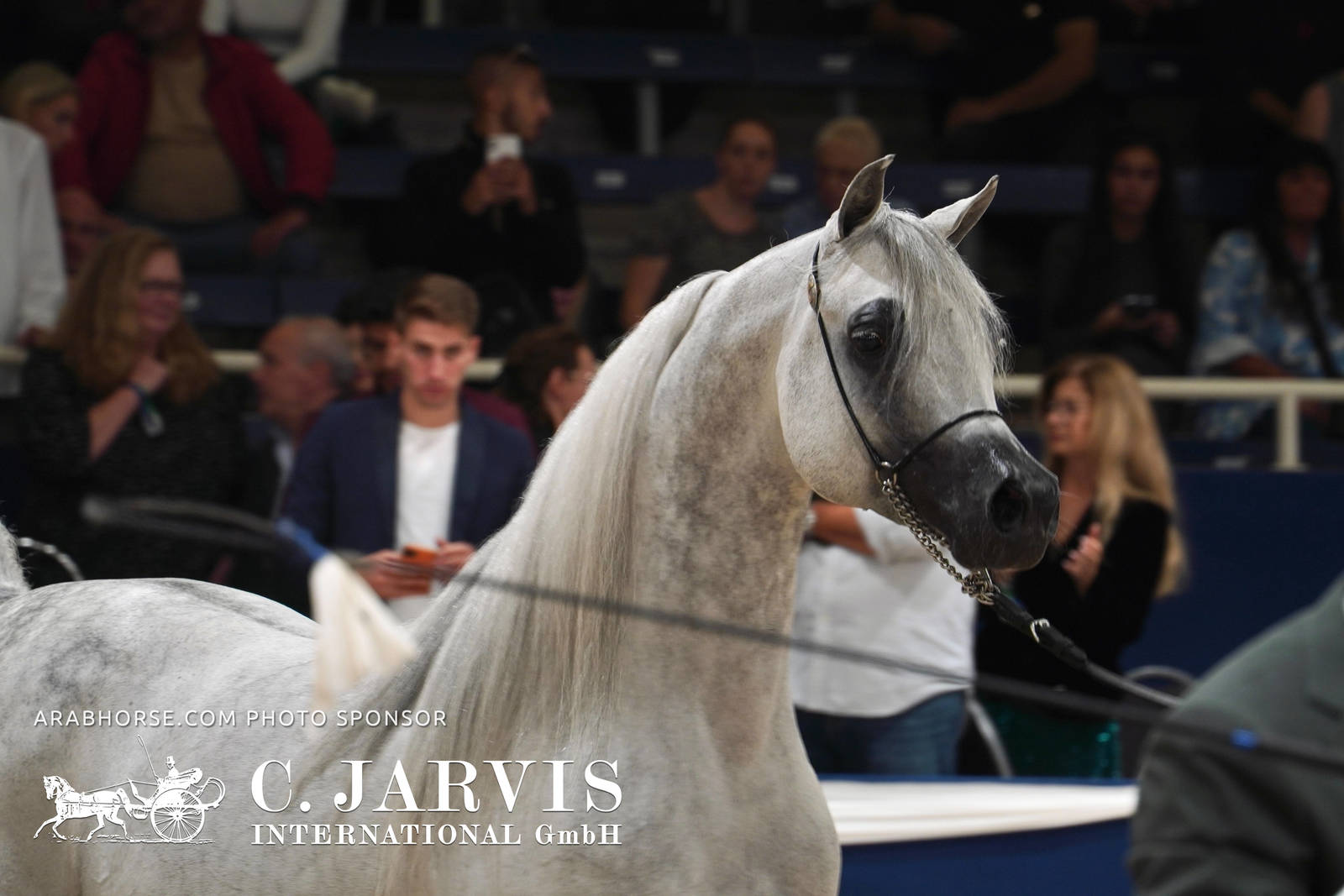 2023 All Nations Cup and Farm Visits