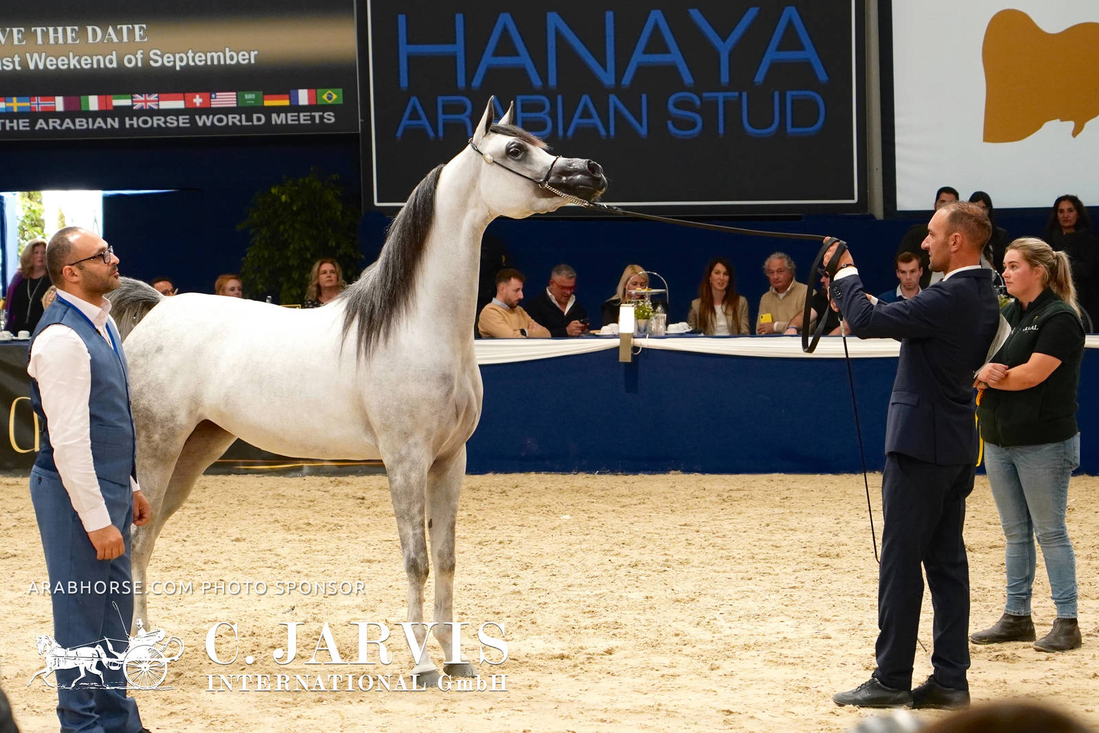 2023 All Nations Cup and Farm Visits