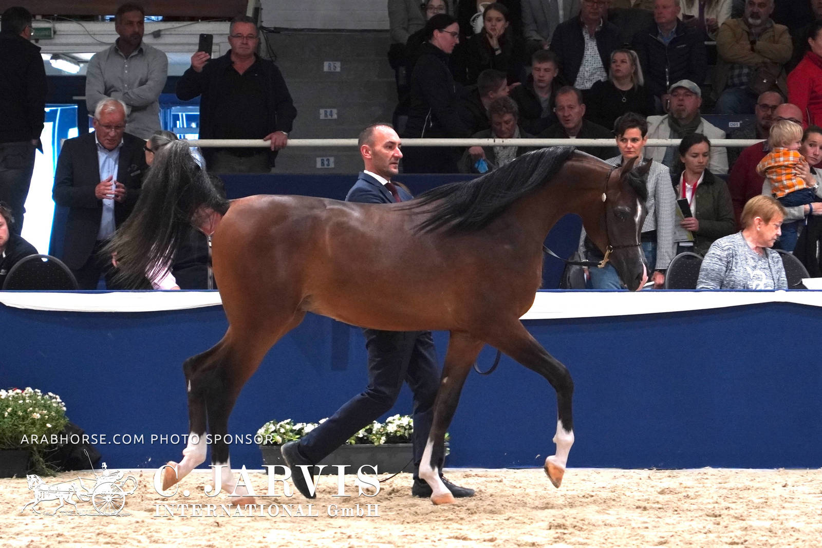 2023 All Nations Cup and Farm Visits