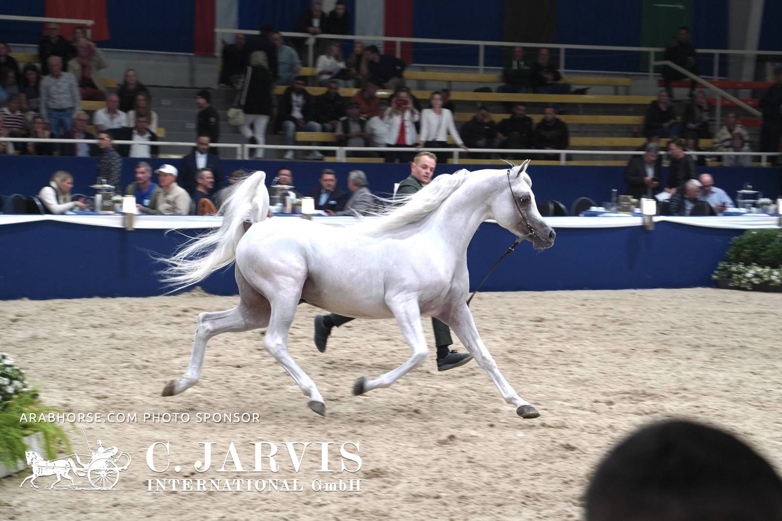 2023 All Nations Cup and Farm Visits