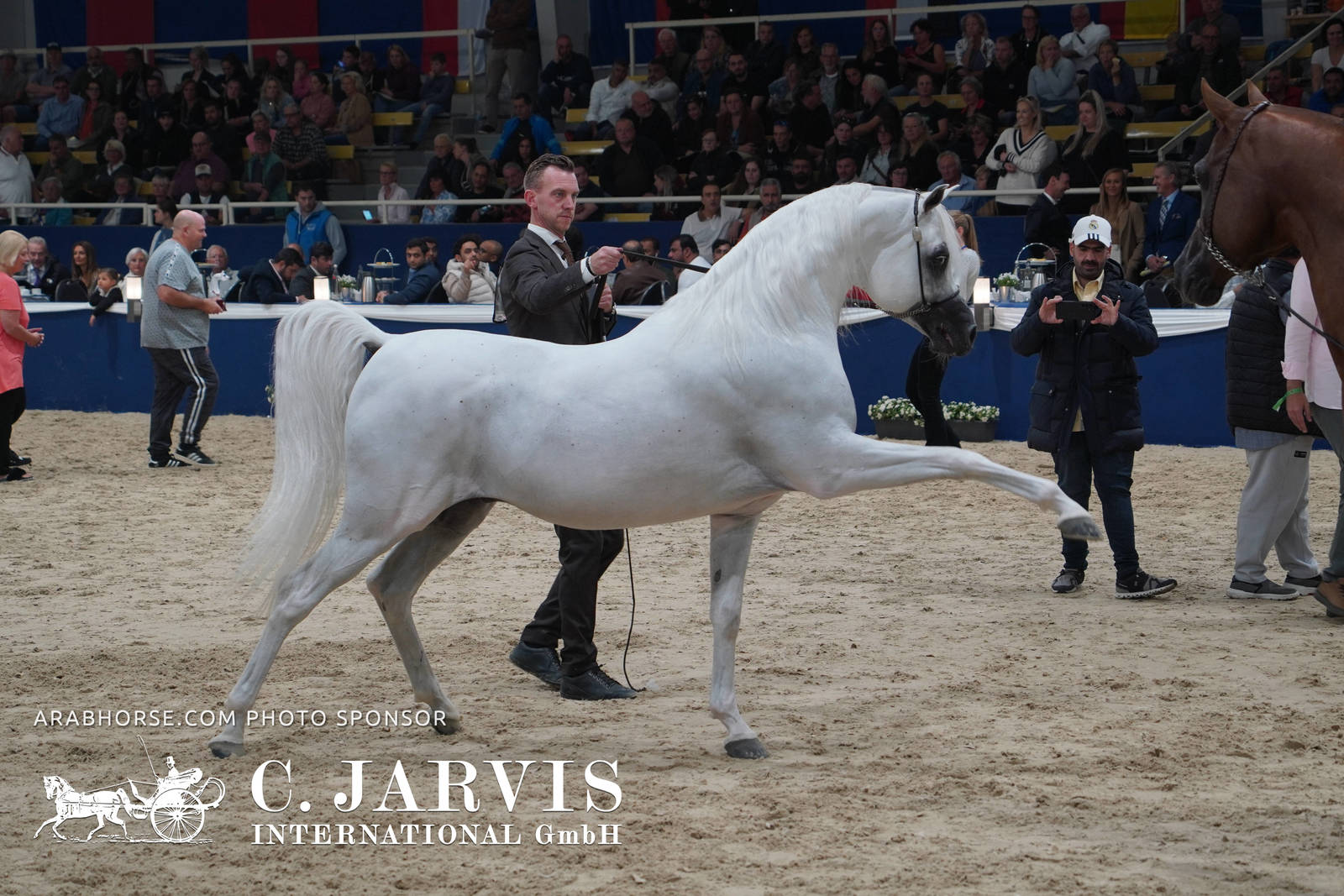 2023 All Nations Cup and Farm Visits