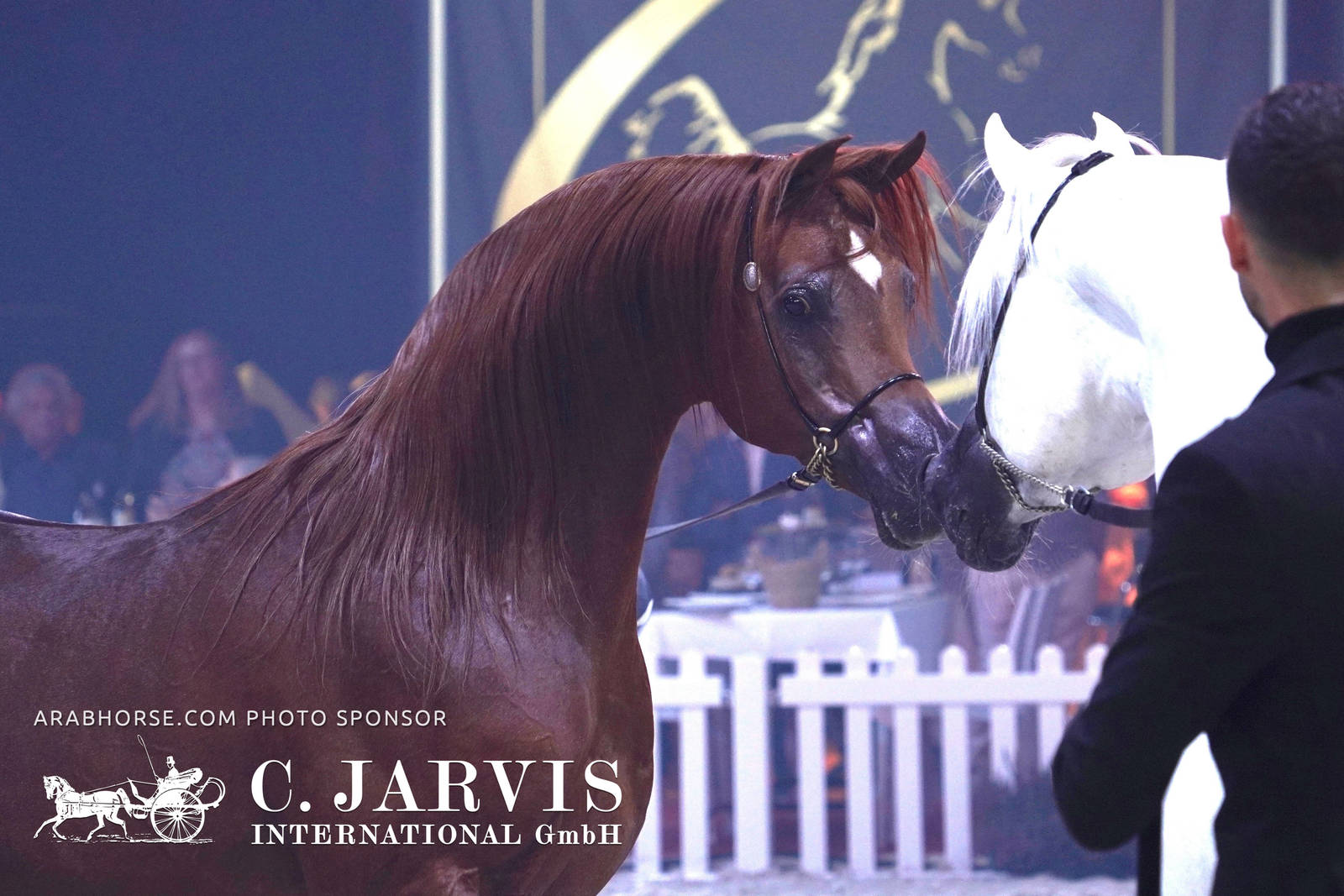 2023 All Nations Cup and Farm Visits