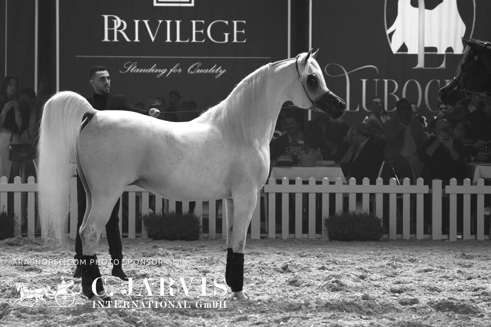 2023 All Nations Cup and Farm Visits