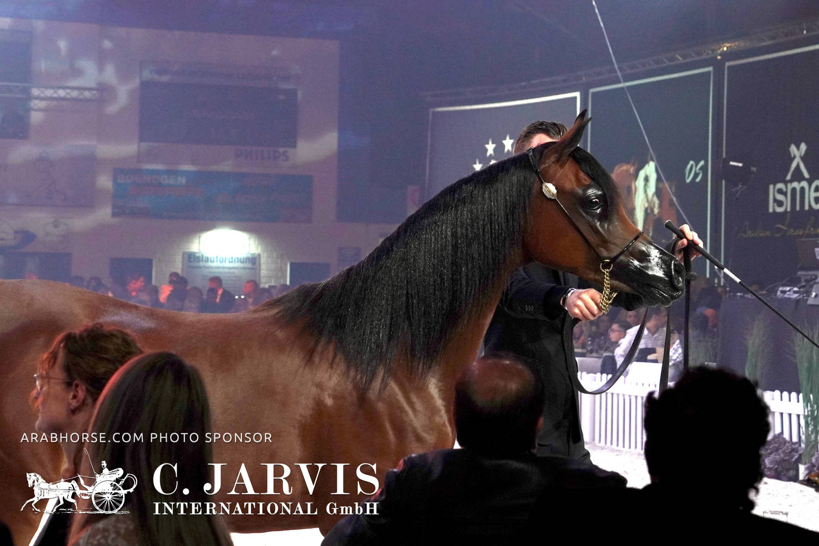 2023 All Nations Cup and Farm Visits