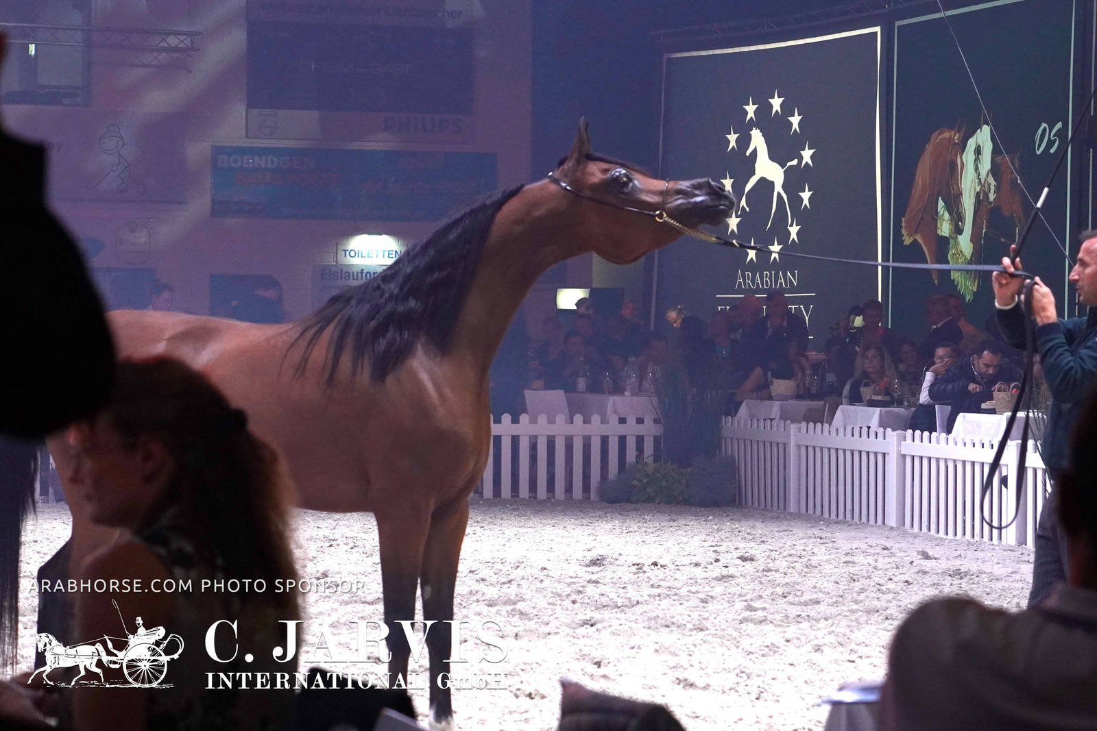 2023 All Nations Cup and Farm Visits