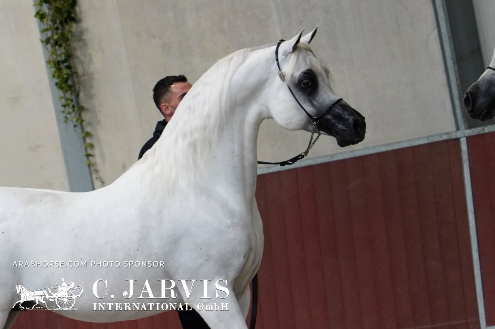 2023 All Nations Cup and Farm Visits