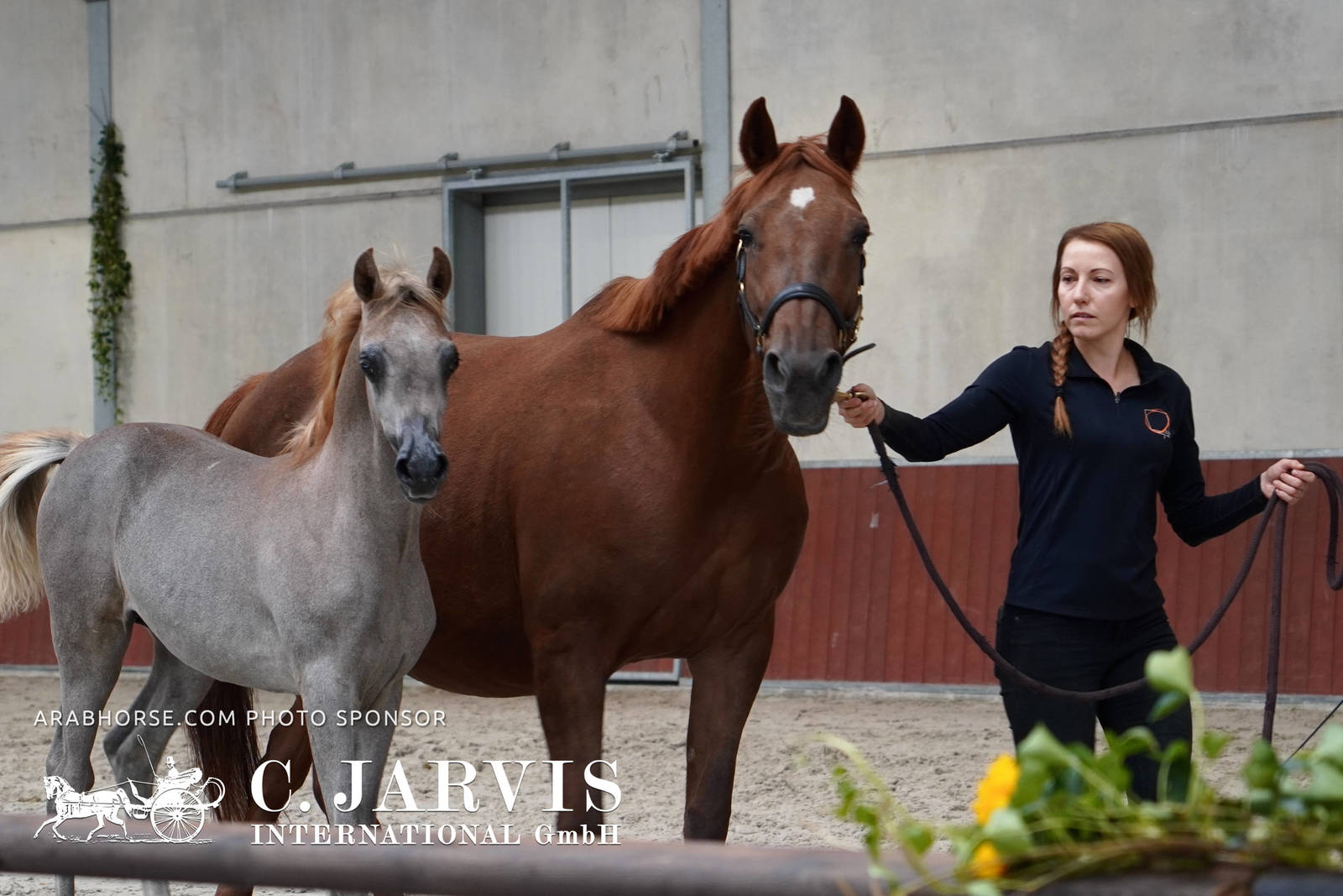 2023 All Nations Cup and Farm Visits