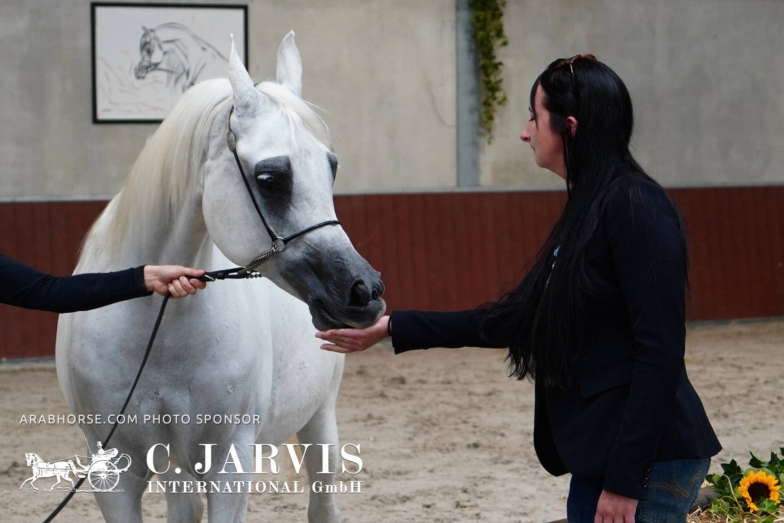 2023 All Nations Cup and Farm Visits