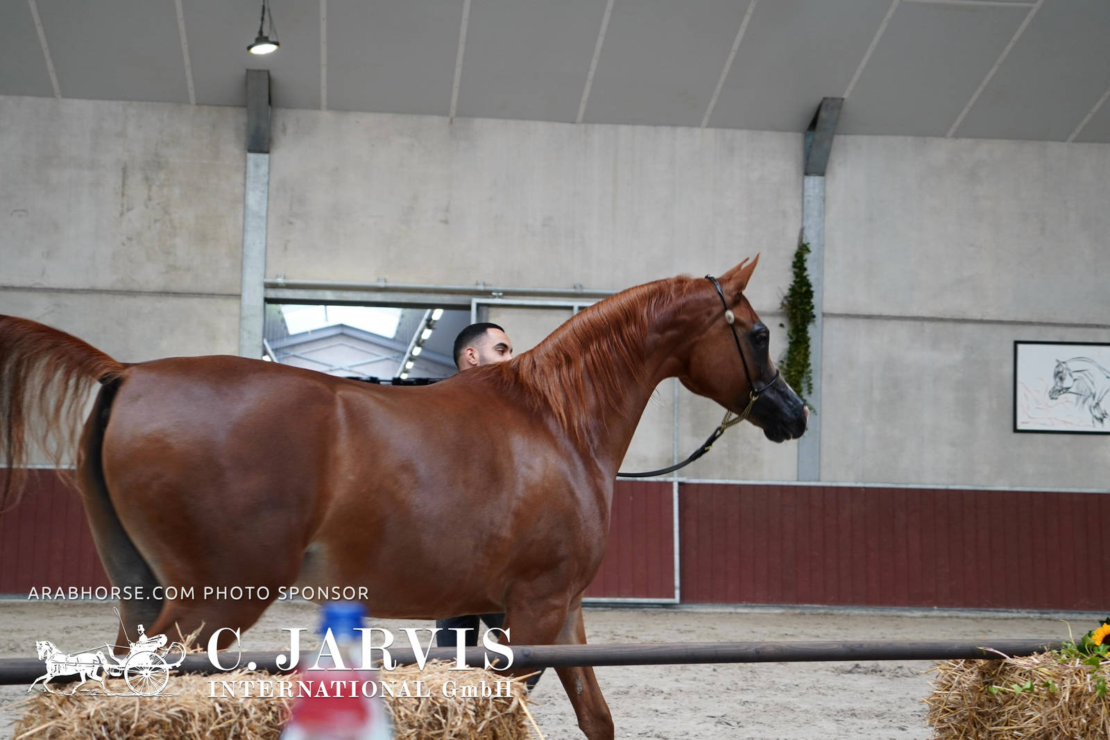 2023 All Nations Cup and Farm Visits