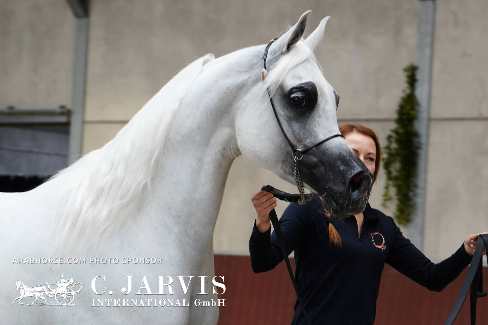 2023 All Nations Cup and Farm Visits