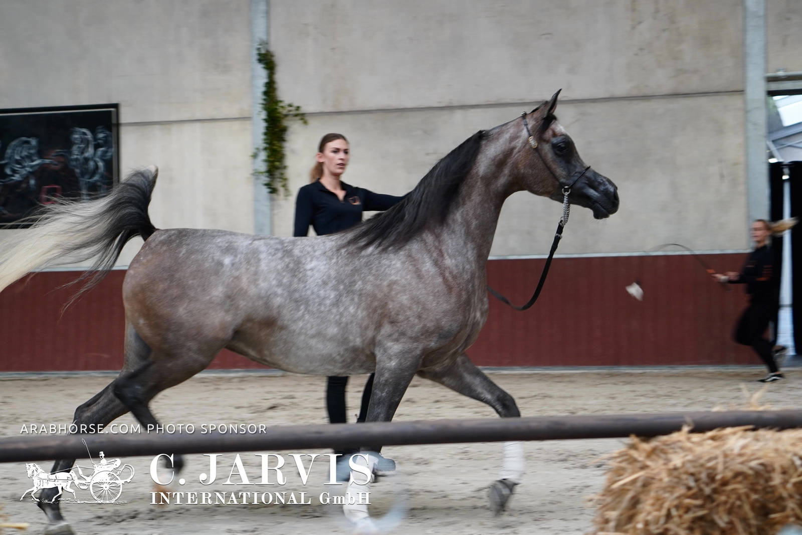 2023 All Nations Cup and Farm Visits