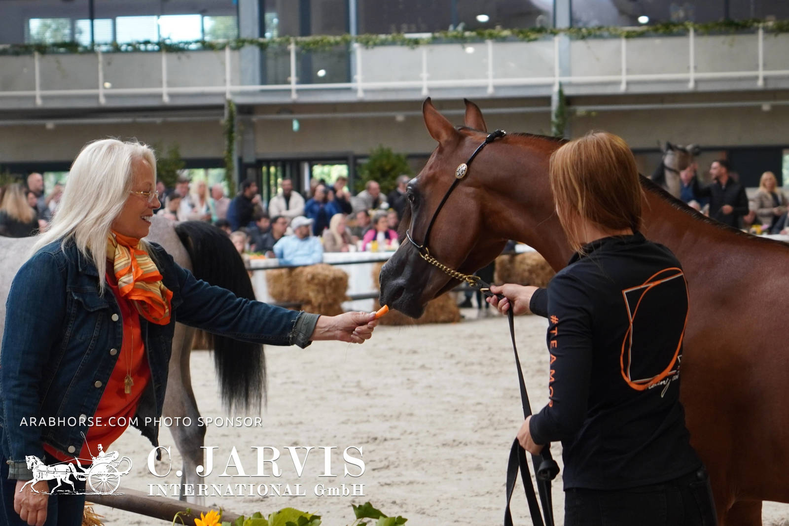 2023 All Nations Cup and Farm Visits