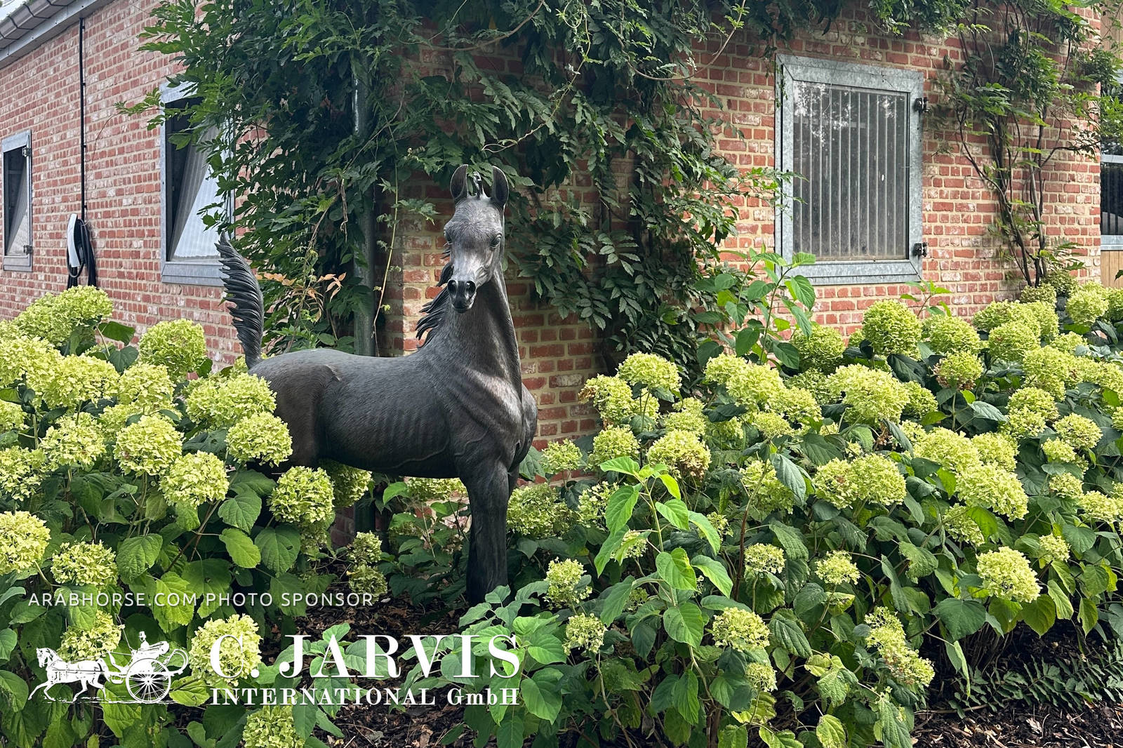 2023 All Nations Cup and Farm Visits