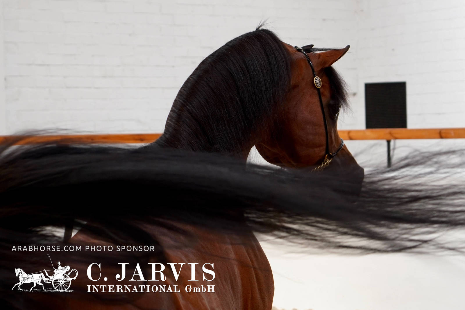 2023 All Nations Cup and Farm Visits