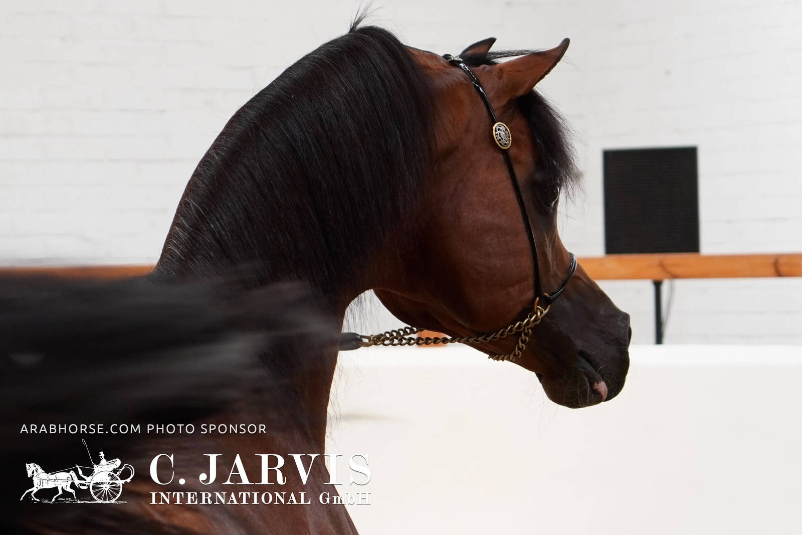 2023 All Nations Cup and Farm Visits