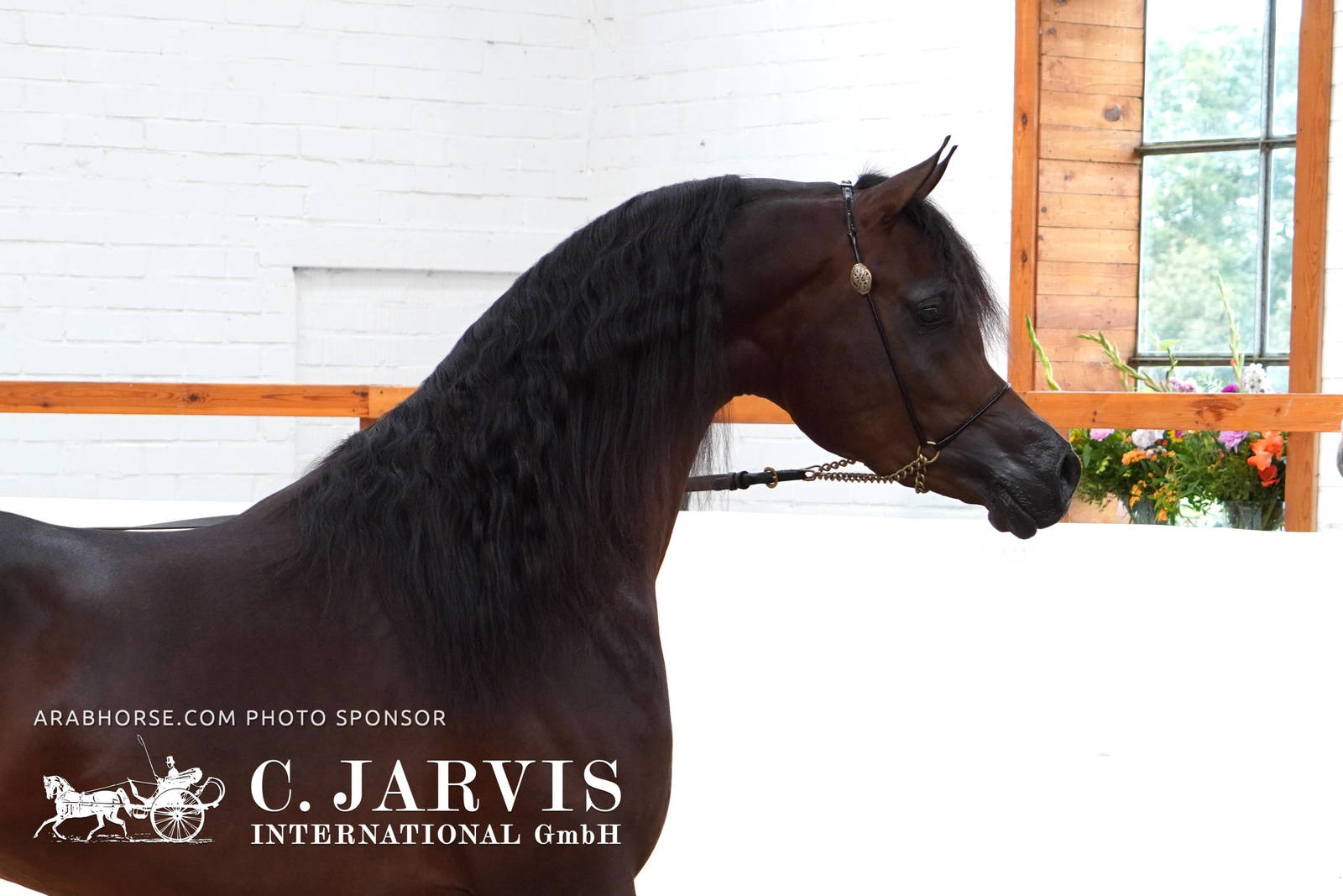 2023 All Nations Cup and Farm Visits