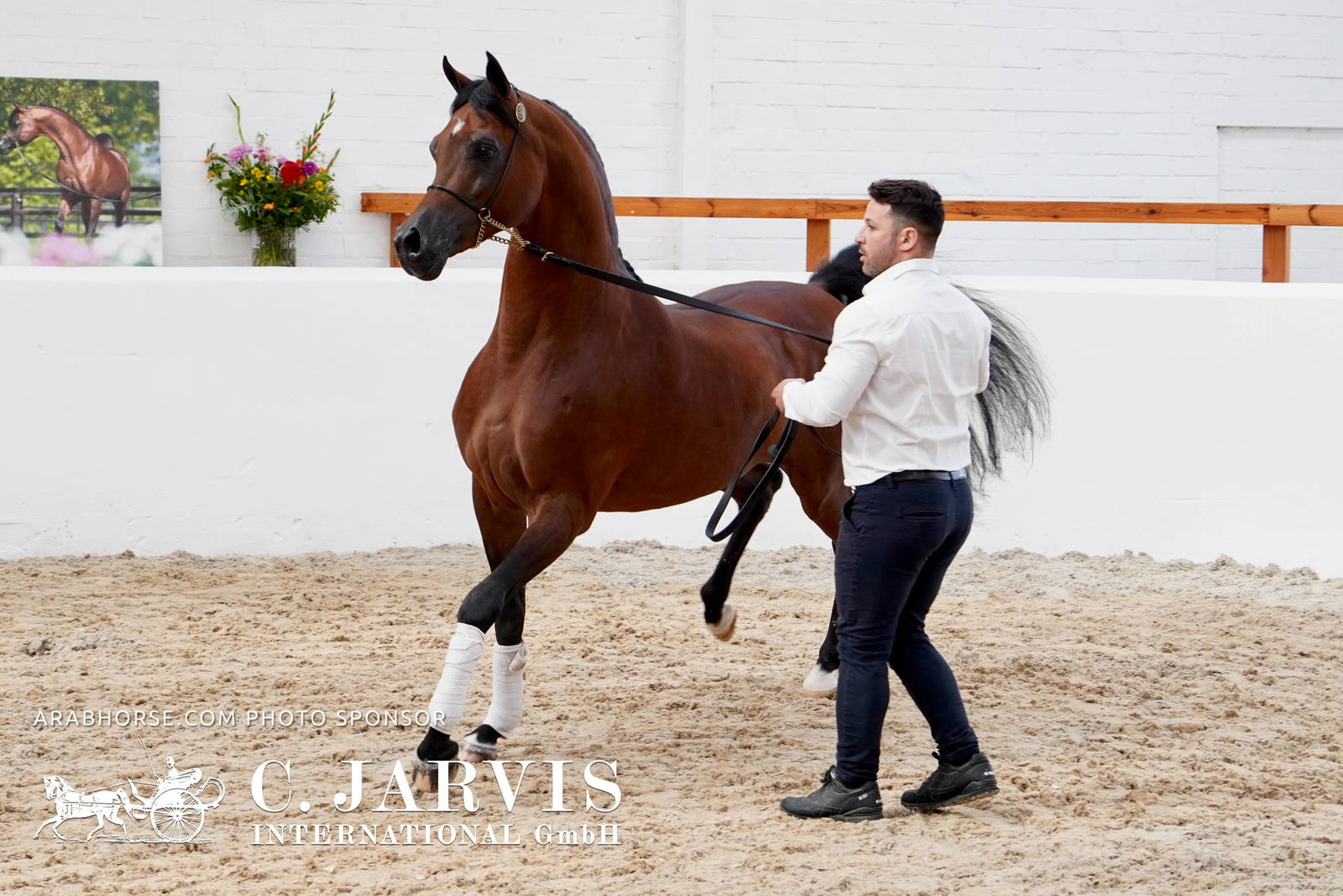 2023 All Nations Cup and Farm Visits