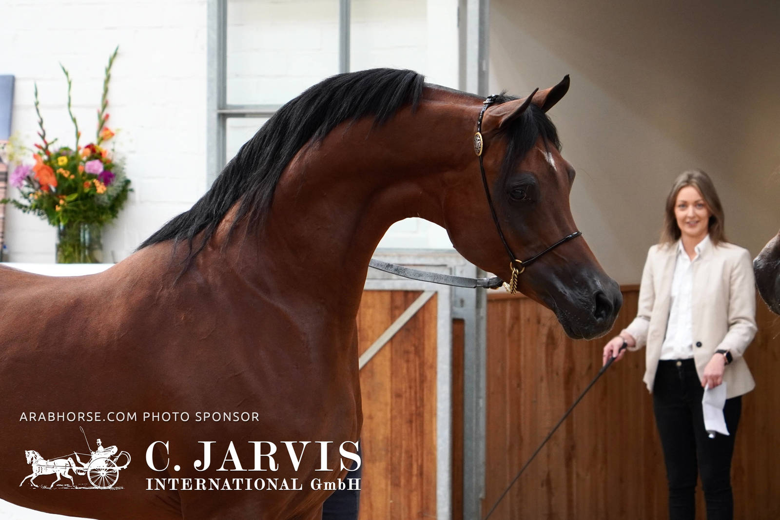 2023 All Nations Cup and Farm Visits