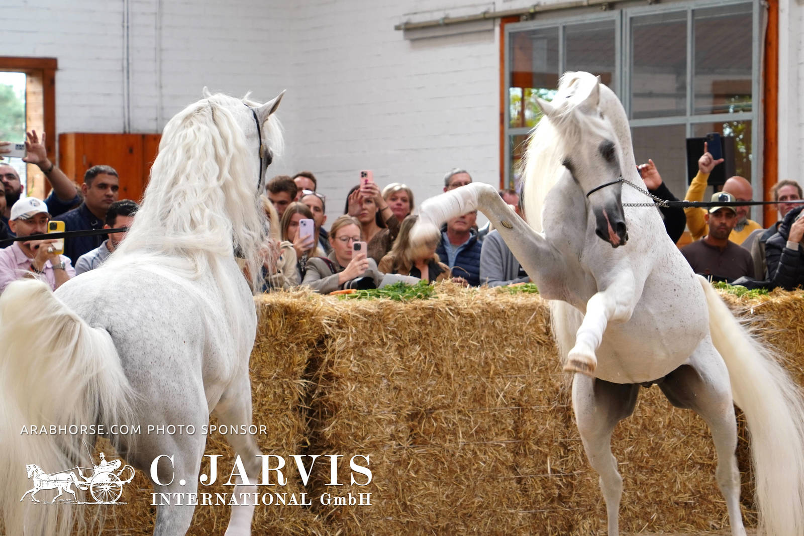 2023 All Nations Cup and Farm Visits