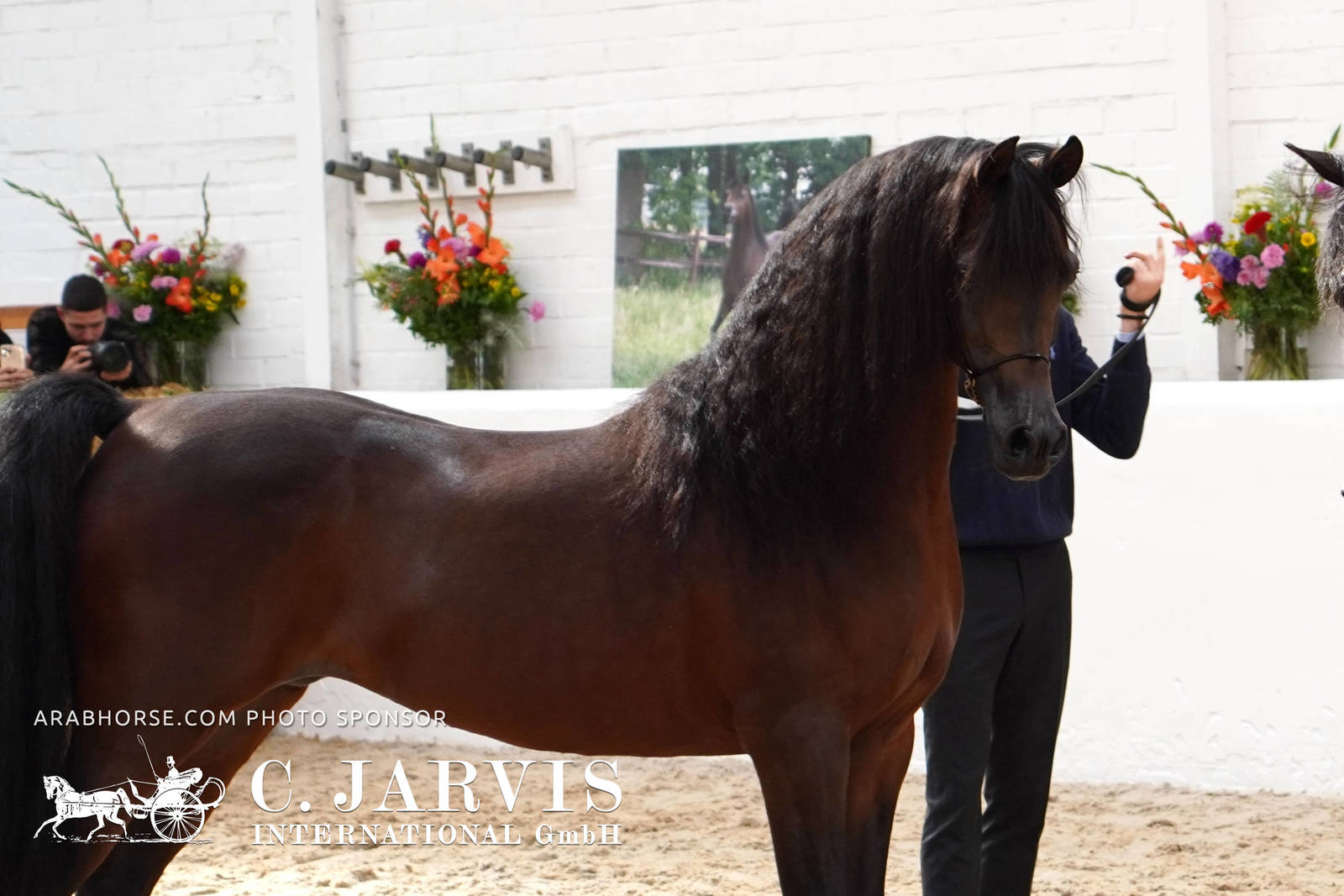 2023 All Nations Cup and Farm Visits