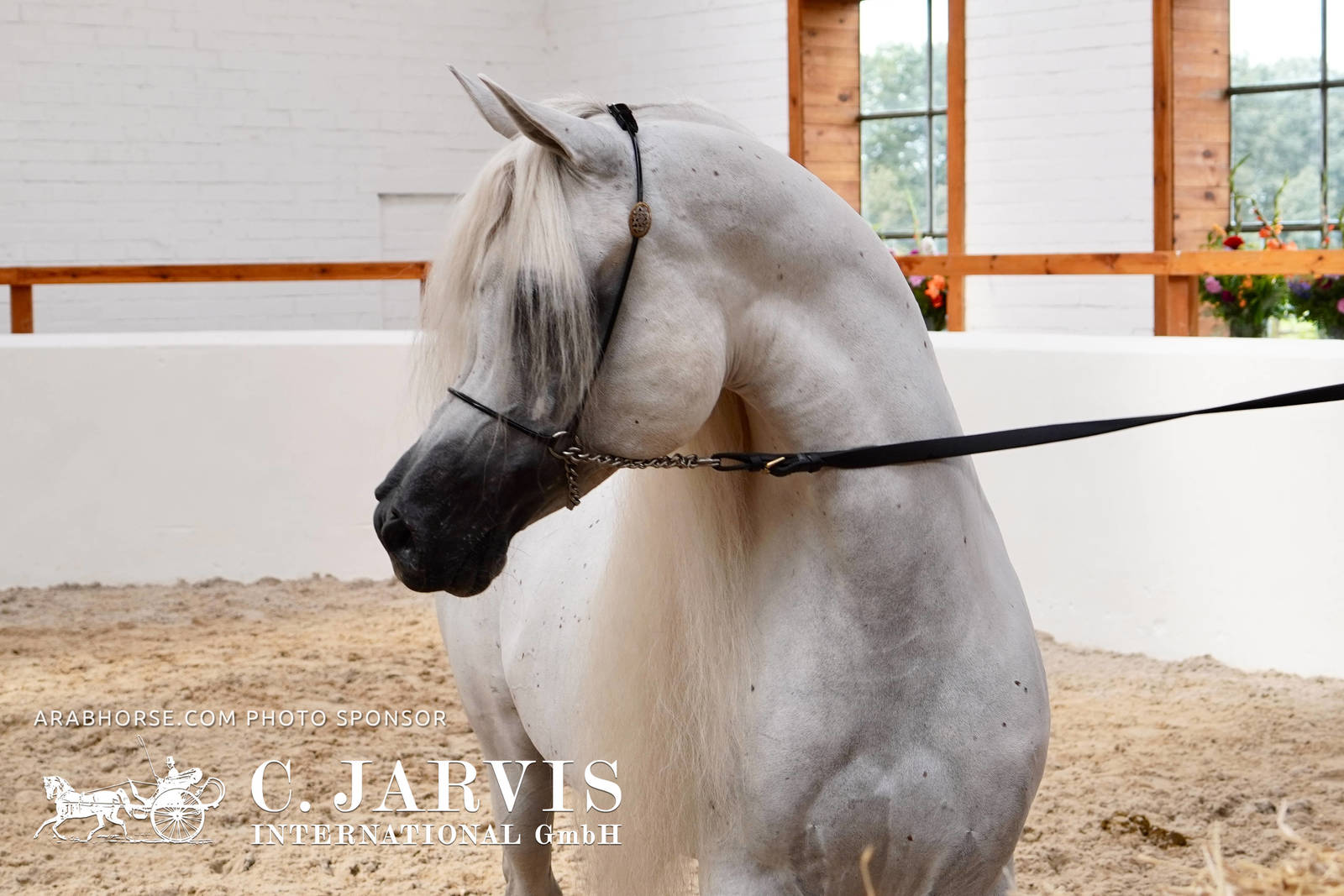 2023 All Nations Cup and Farm Visits