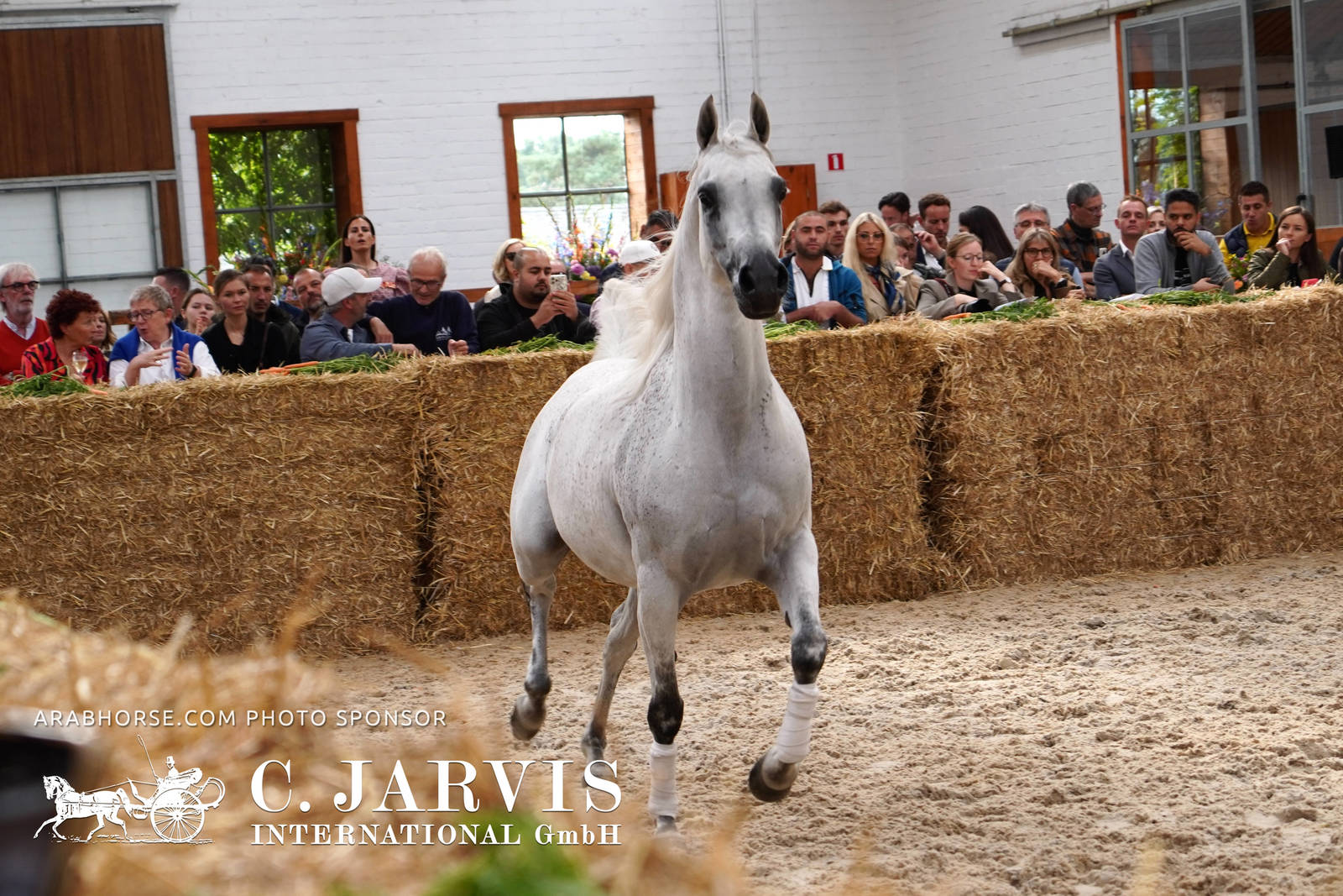 2023 All Nations Cup and Farm Visits