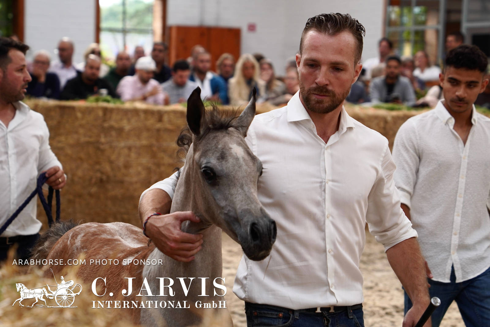 2023 All Nations Cup and Farm Visits