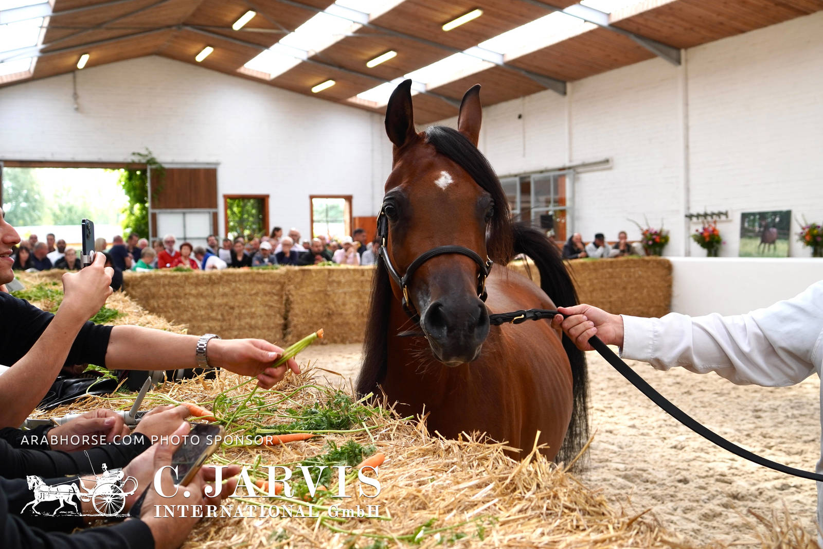 2023 All Nations Cup and Farm Visits