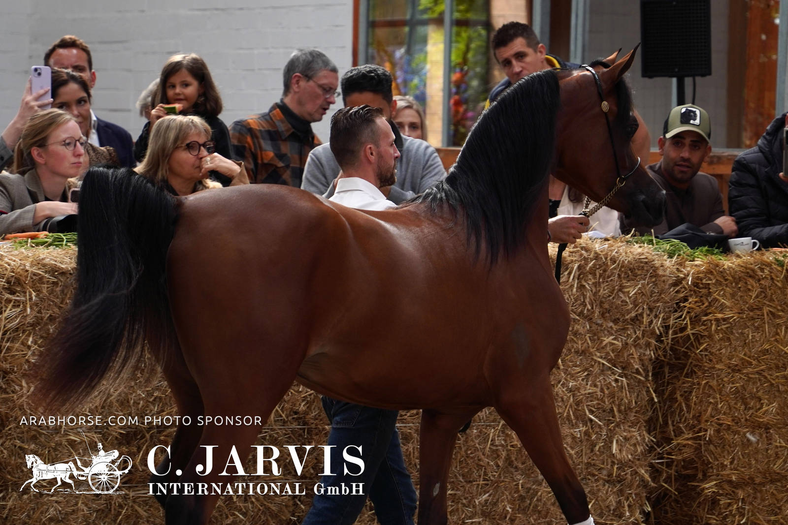 2023 All Nations Cup and Farm Visits