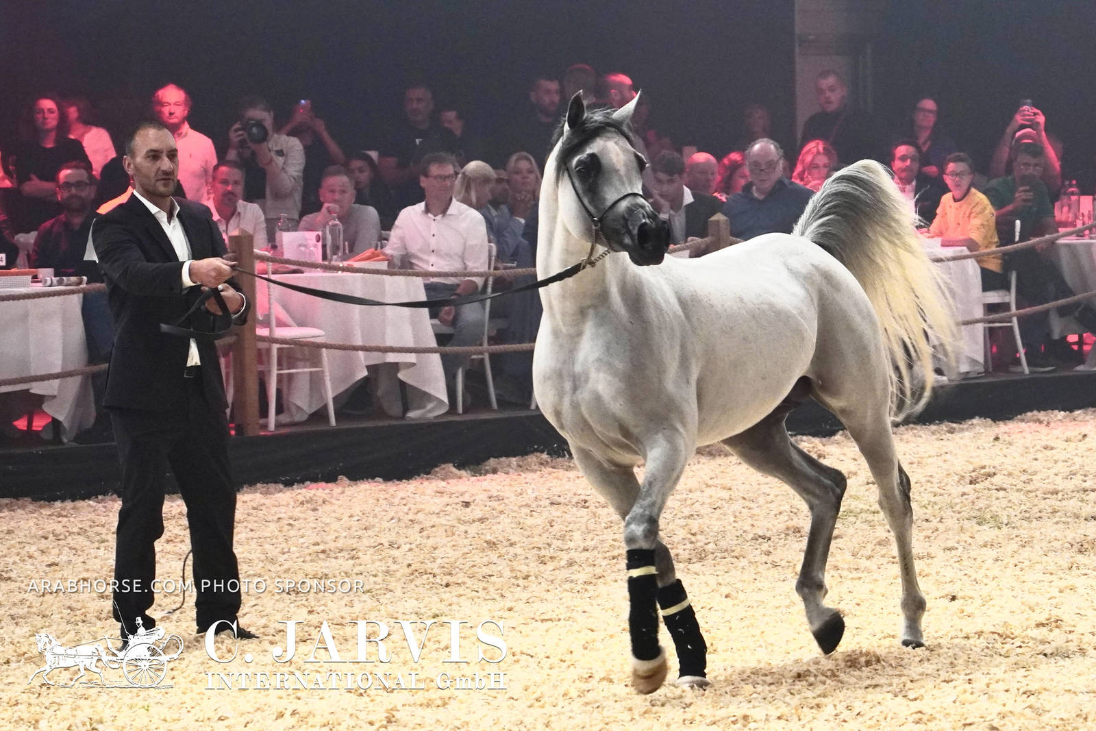 2023 All Nations Cup and Farm Visits