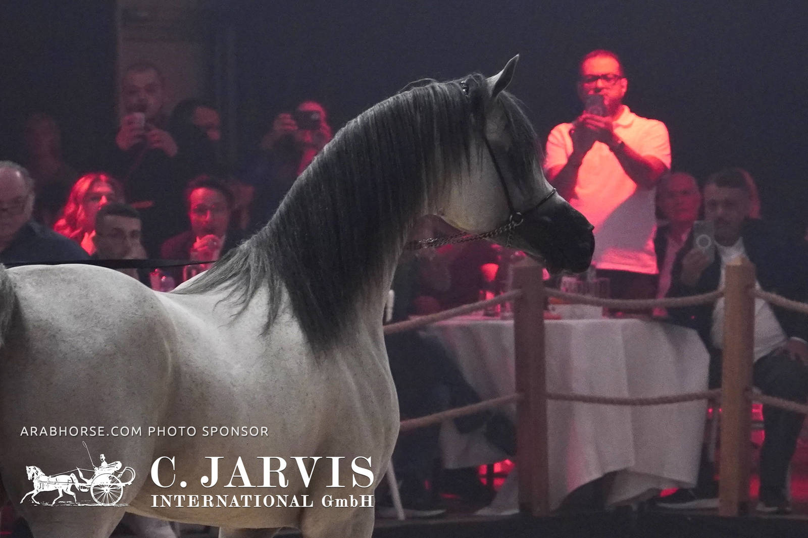 2023 All Nations Cup and Farm Visits