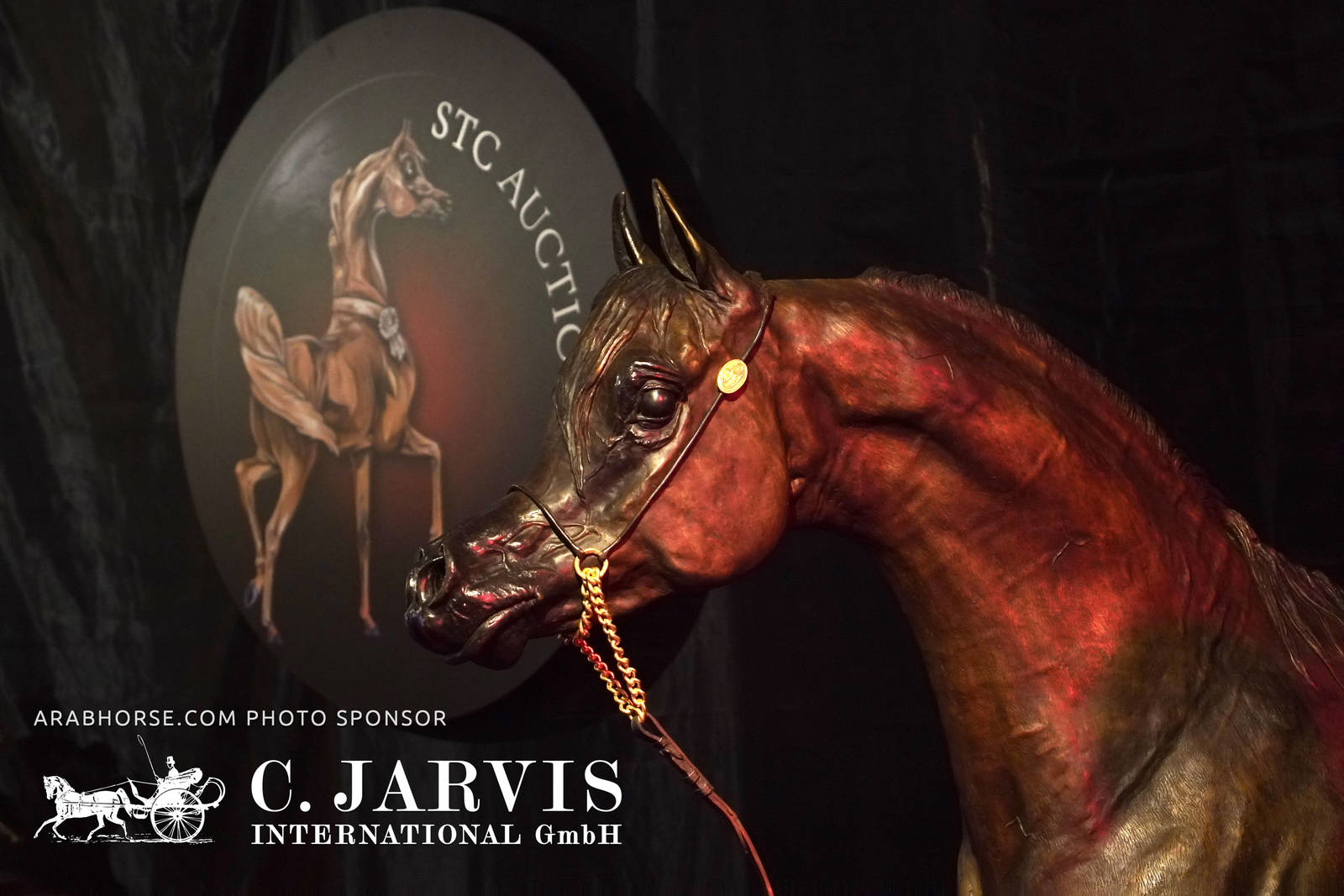 2023 All Nations Cup and Farm Visits