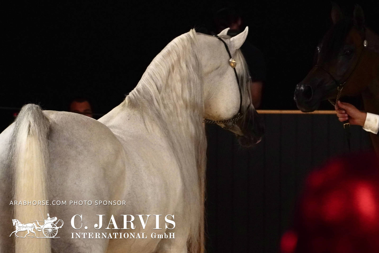 2023 All Nations Cup and Farm Visits