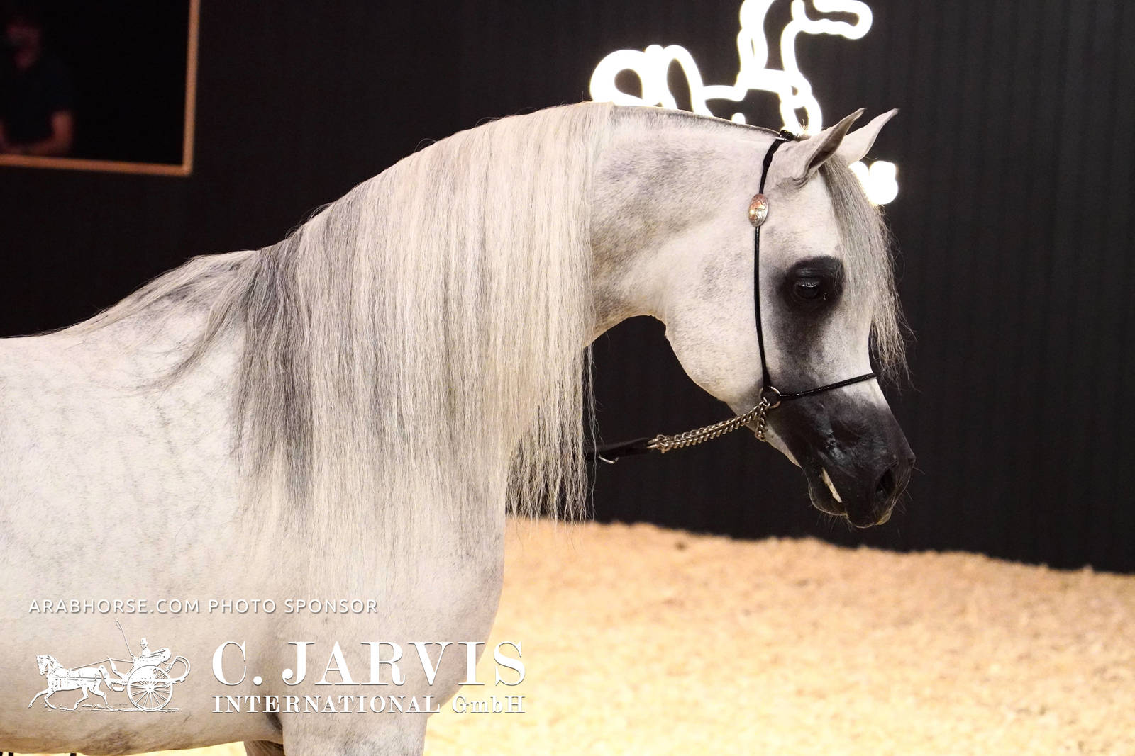 2023 All Nations Cup and Farm Visits