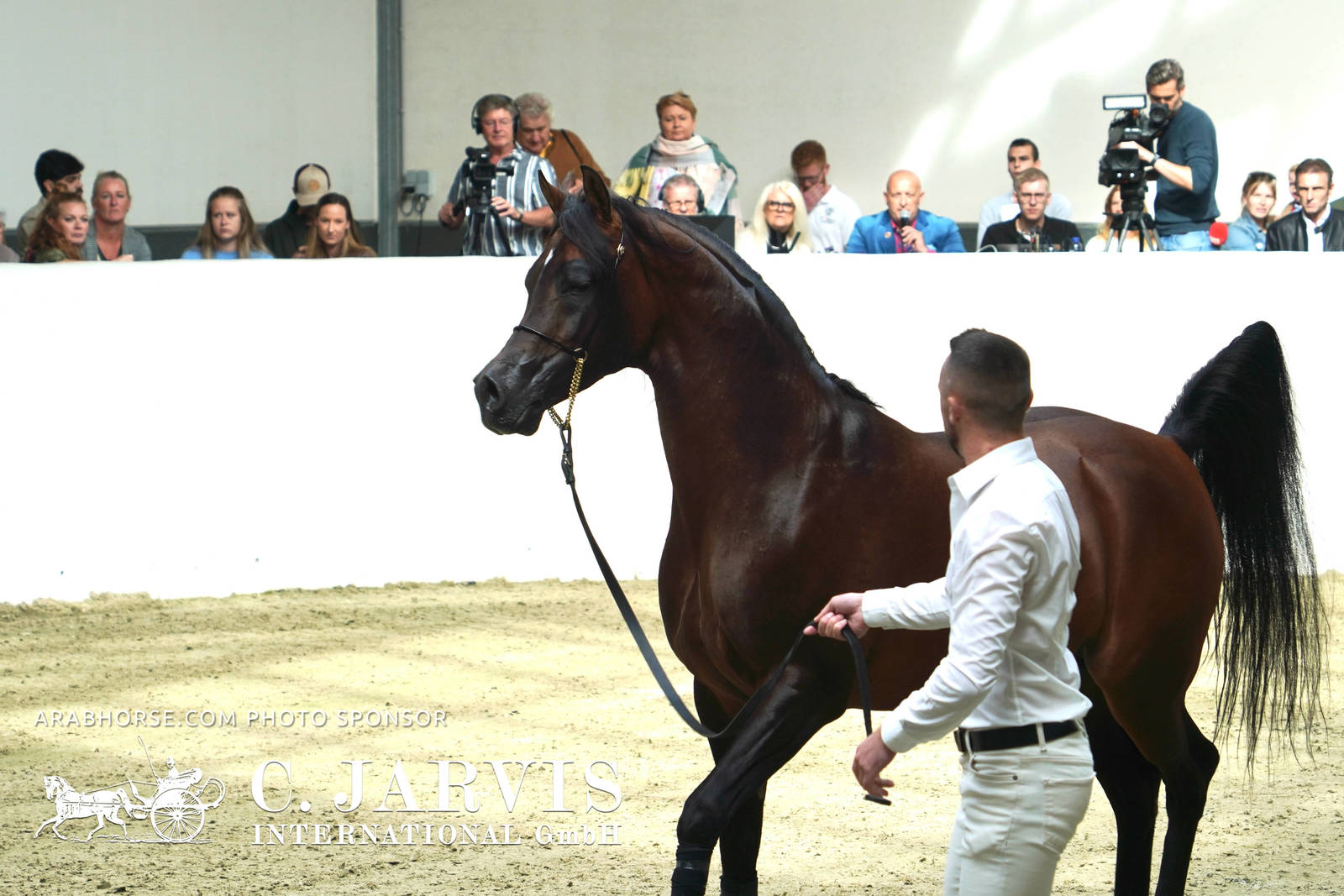 2023 All Nations Cup and Farm Visits