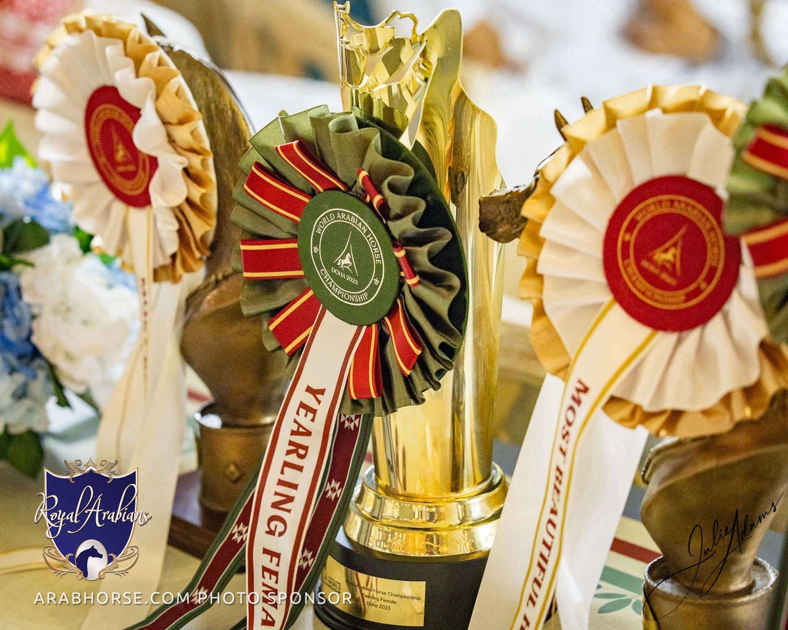 World Arabian Horse Championship Day One - Mares & Fillies