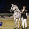 World Arabian Horse Championship Day One - Mares & Fillies