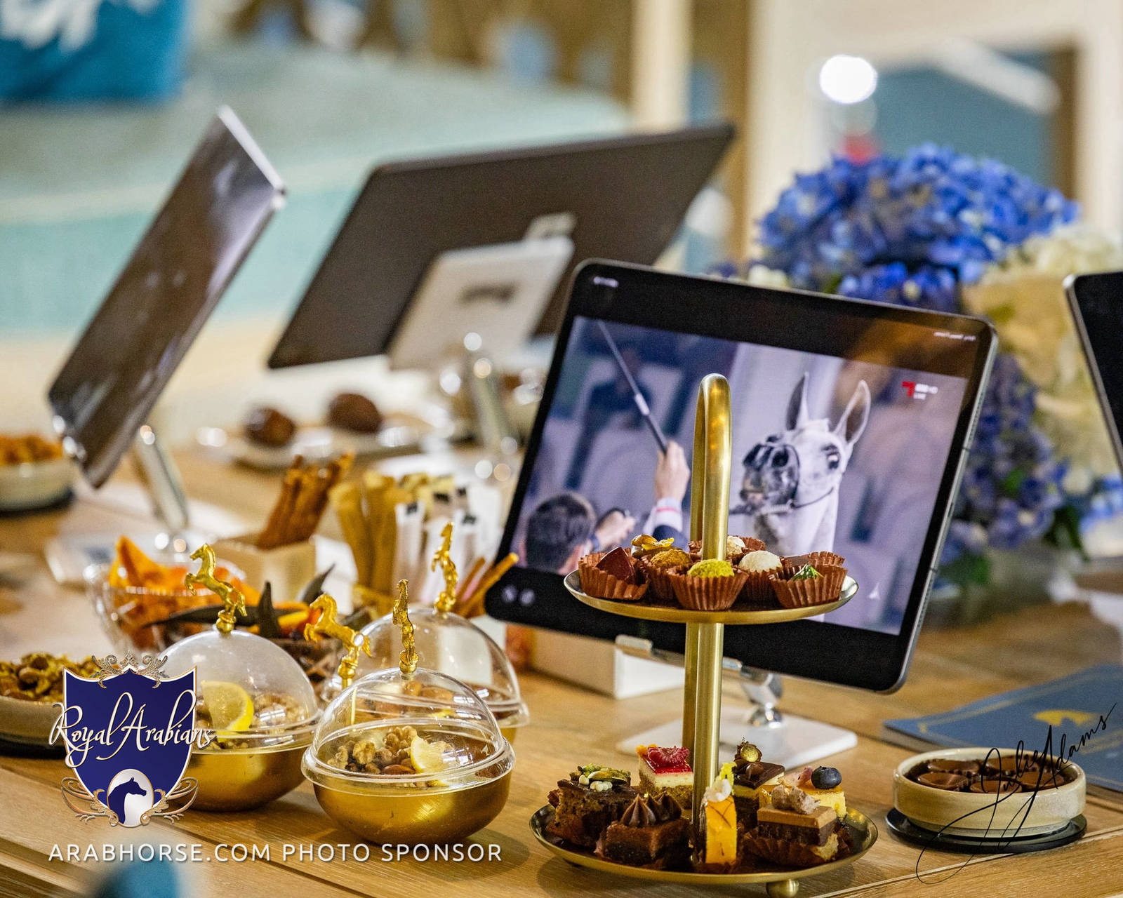 World Arabian Horse Championship Day One - Mares & Fillies