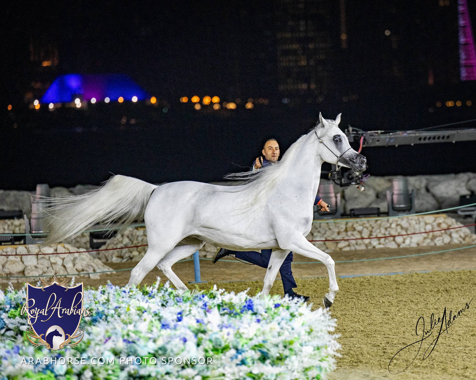World Arabian Horse Championship Day One - Mares & Fillies