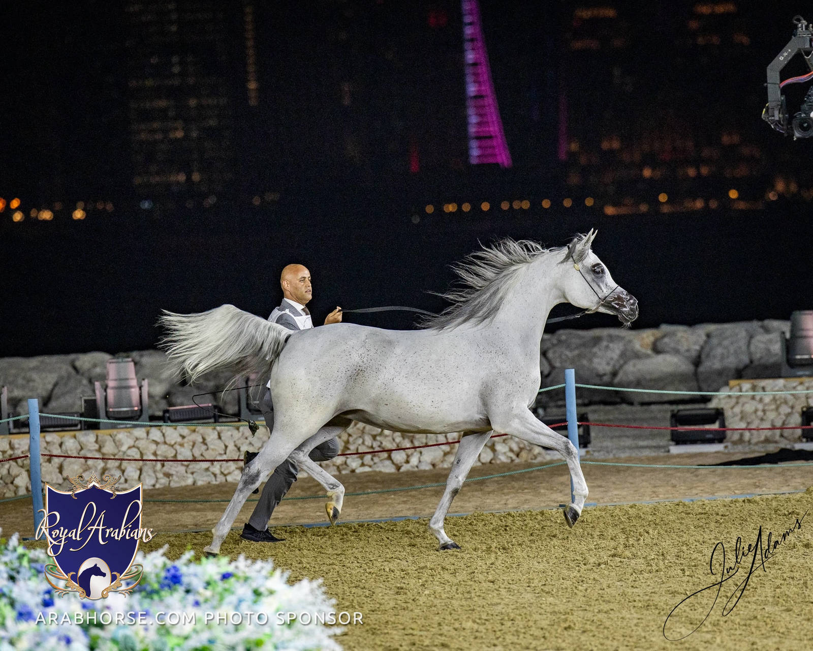 World Arabian Horse Championship Day One - Mares & Fillies