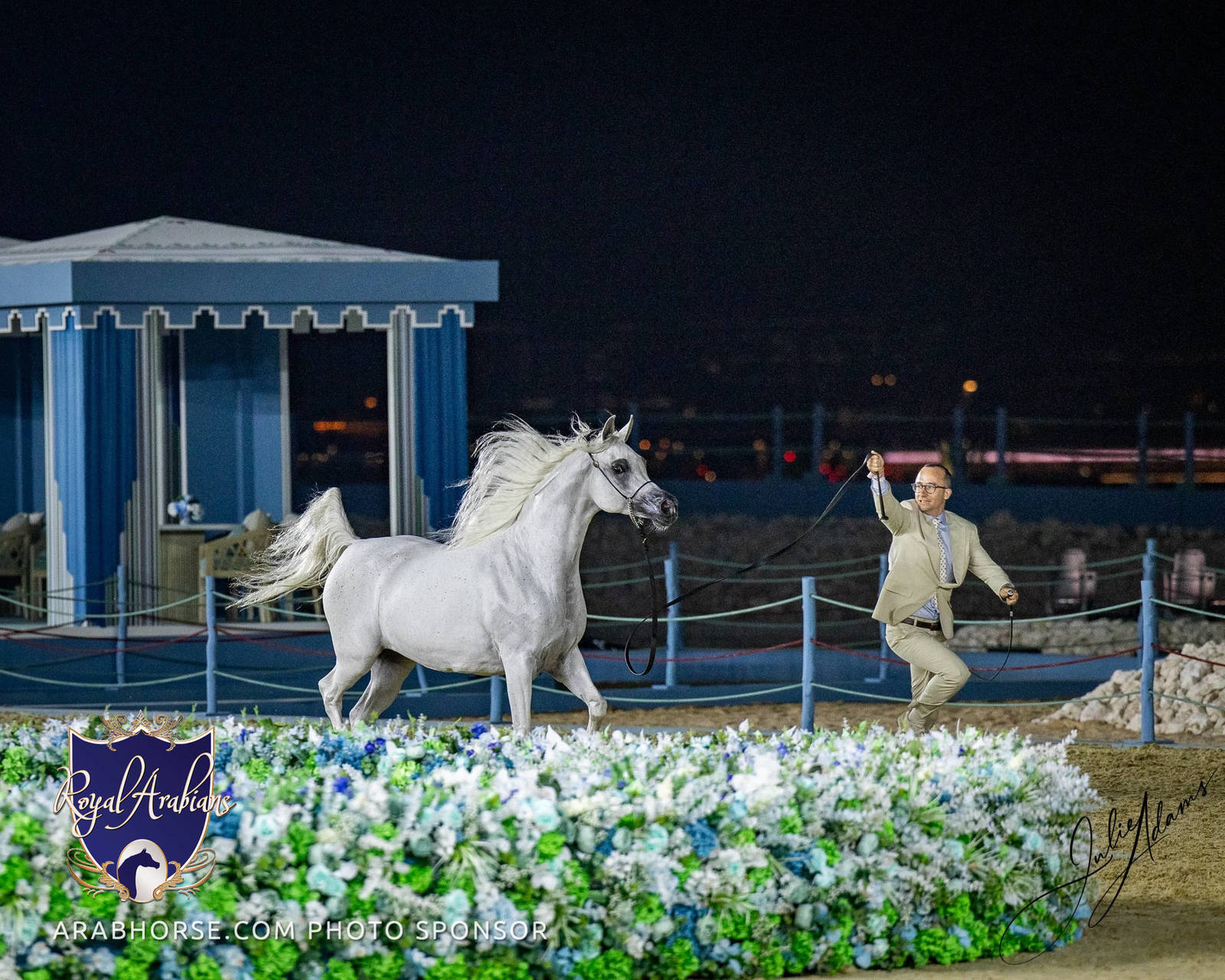 World Arabian Horse Championship Day One - Mares & Fillies