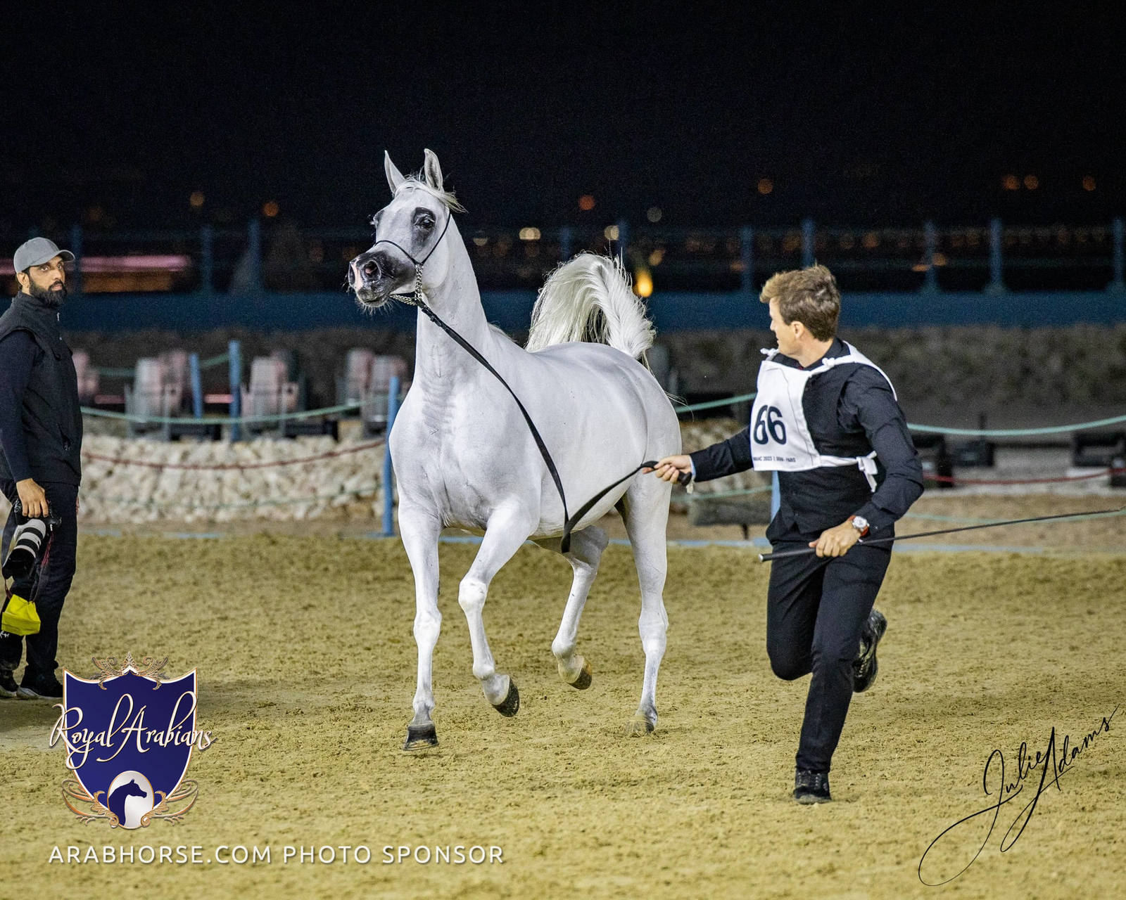 World Arabian Horse Championship Day One - Mares & Fillies