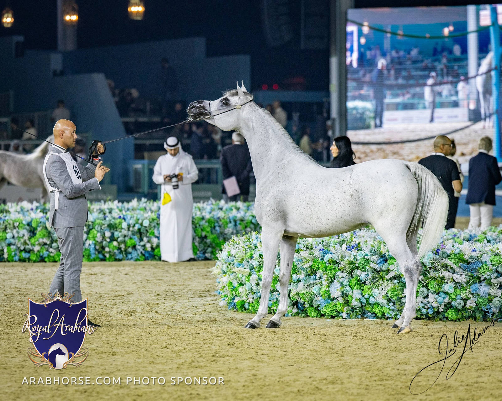 World Arabian Horse Championship Day One - Mares & Fillies
