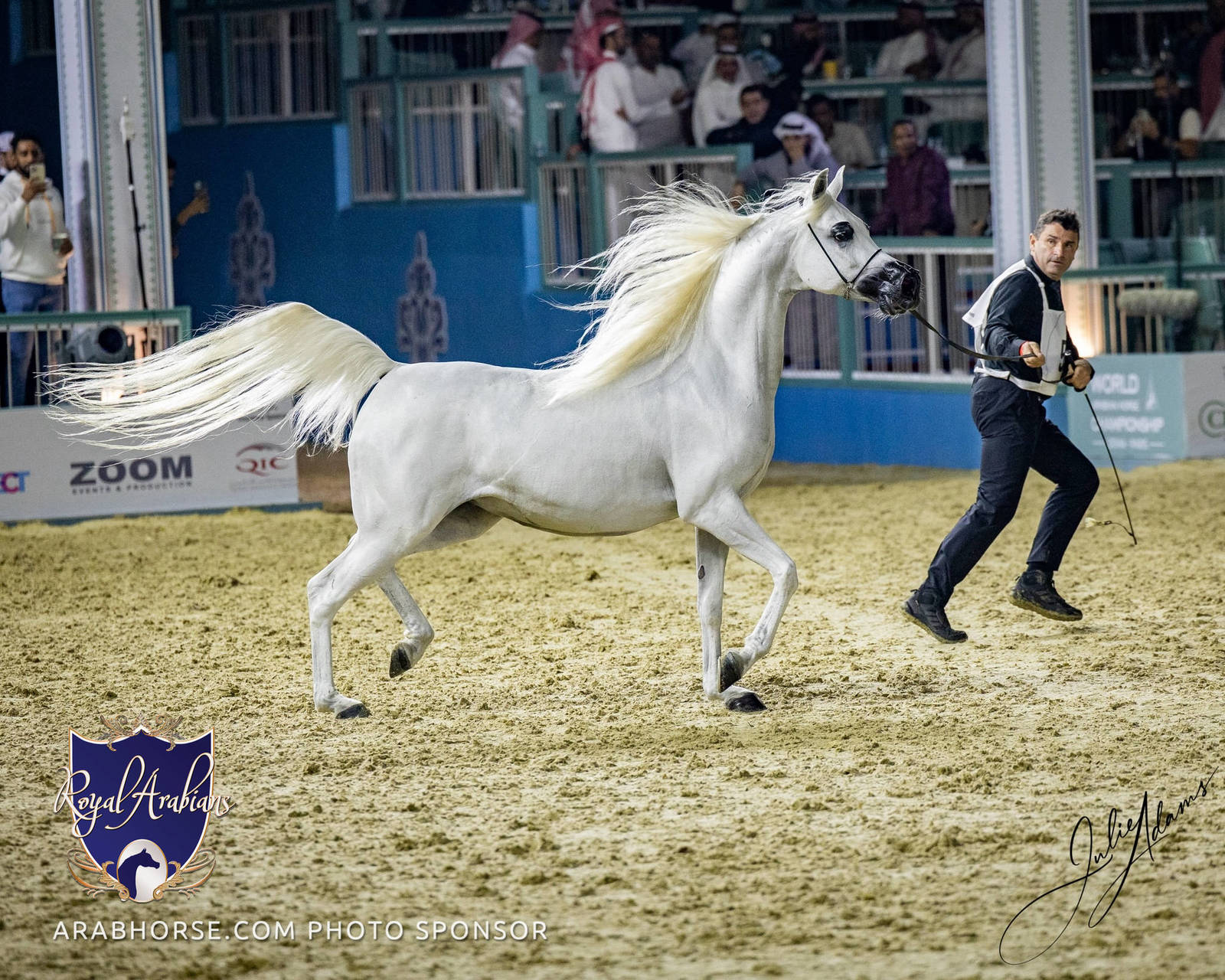 World Arabian Horse Championship Day One - Mares & Fillies