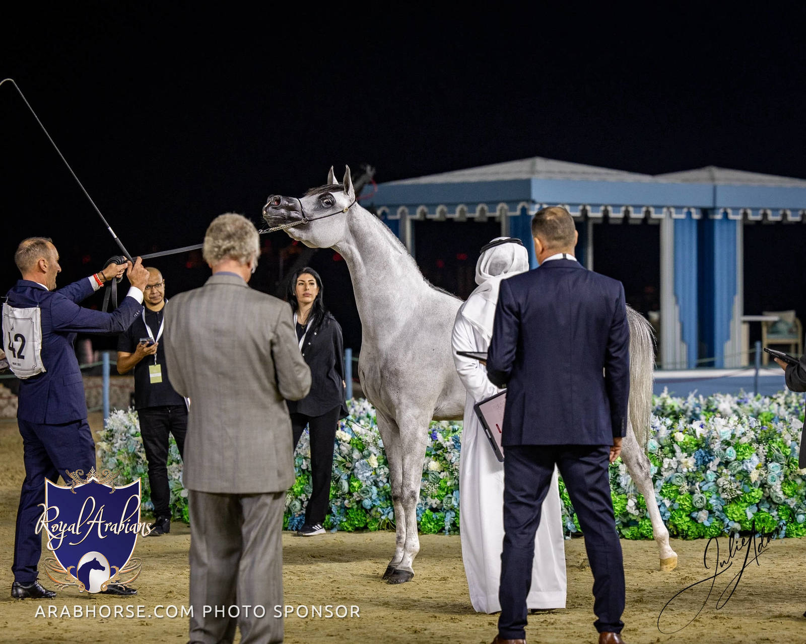 World Arabian Horse Championship Day One - Mares & Fillies